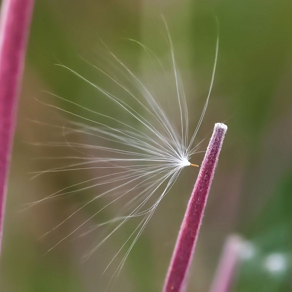 Photograph by Оксана Машкина