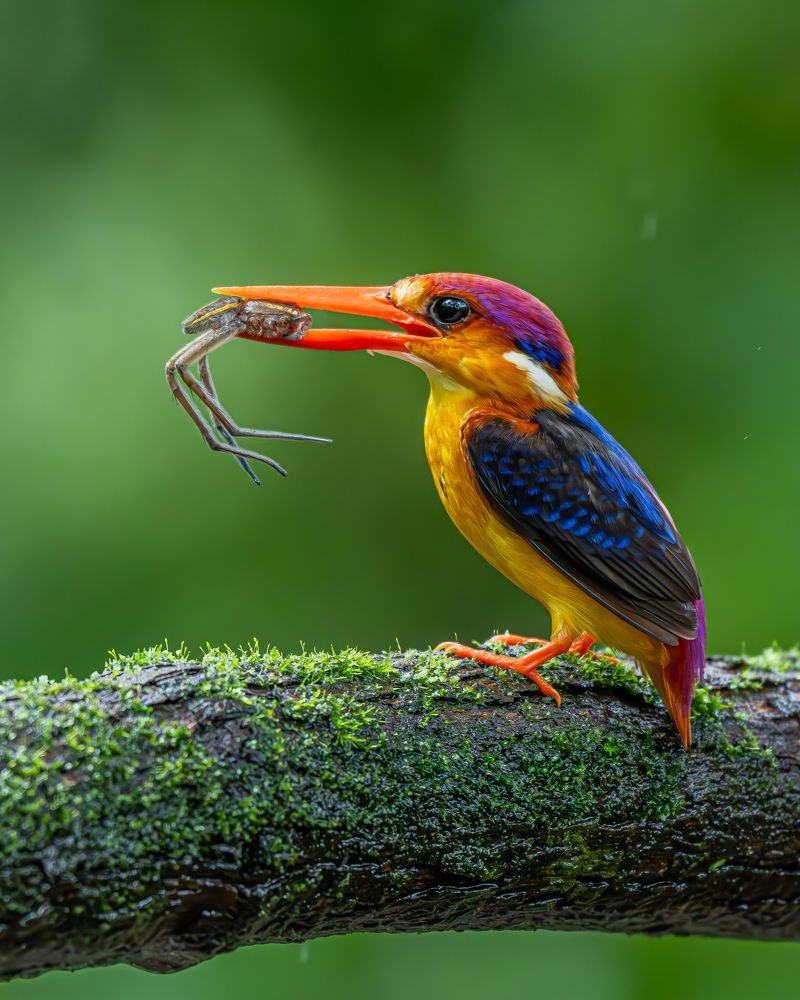 Nature’s beauty and raw power in perfect harmony.