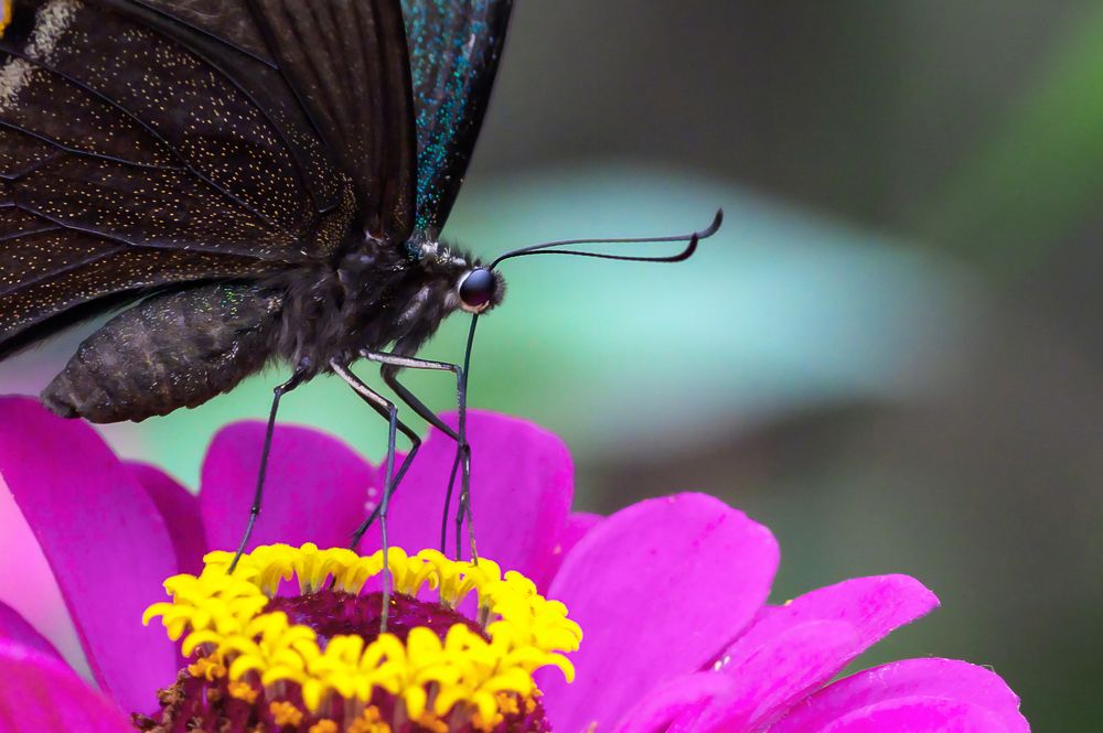 Photograph by Евгений Сорокин