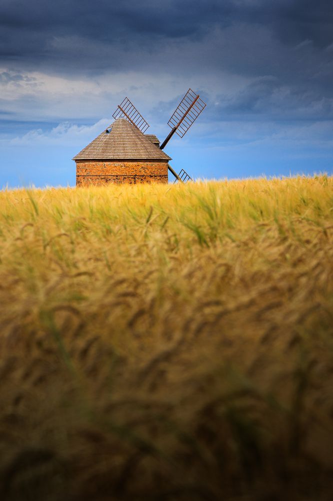 Photograph by Michal Krejčíř