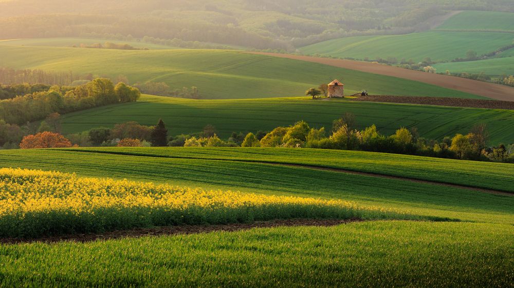 Photograph by Michal Krejčíř