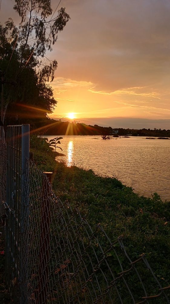 Photo #11022457