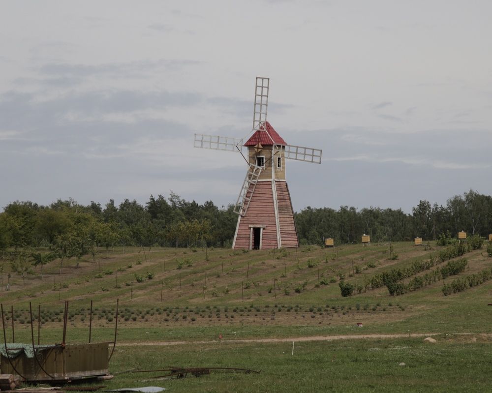Фотография автора Ирина Мосько