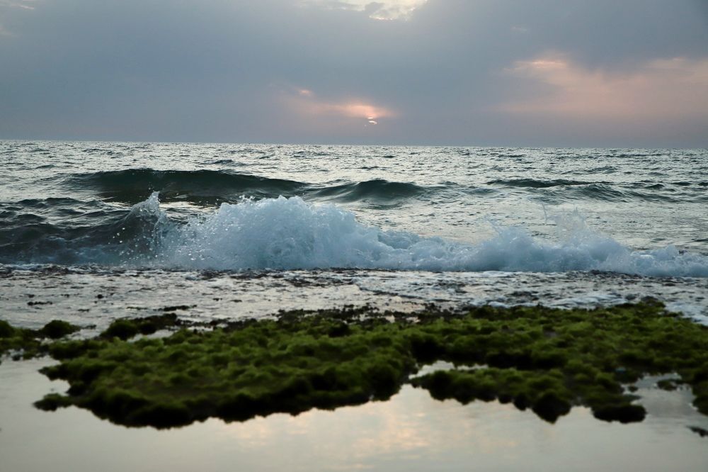 Photograph by יפעת ברונשטיין כהן