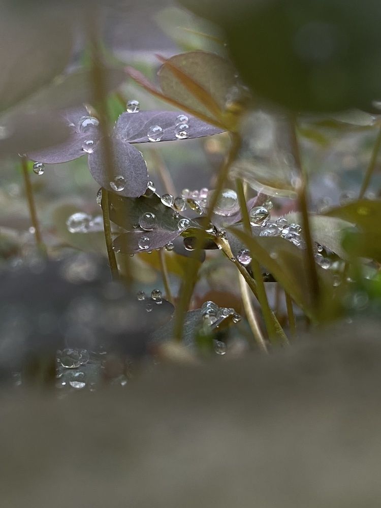 Photograph by Луиза Баширова