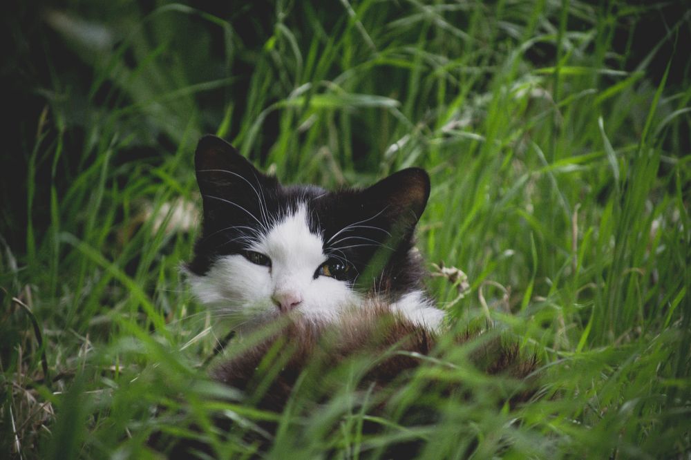 Photograph by Константин Мартынов