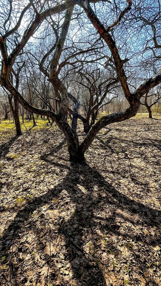 Photograph by Kaiser Sozo