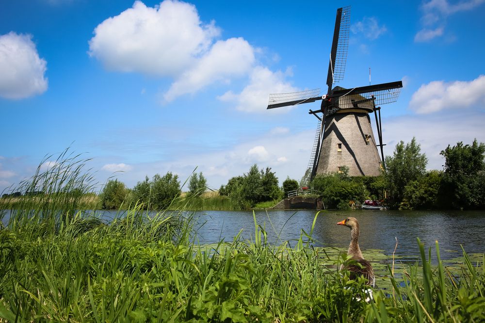 Photograph by Павел