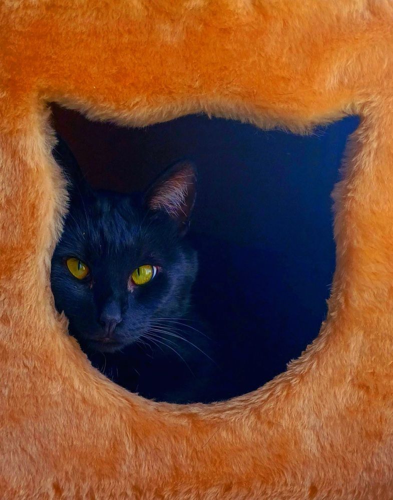 Photograph by Андрей Козаков