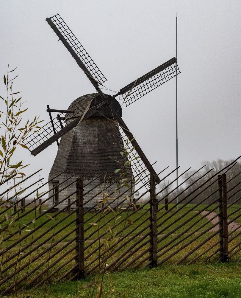 Photograph by Даниил Пузаков