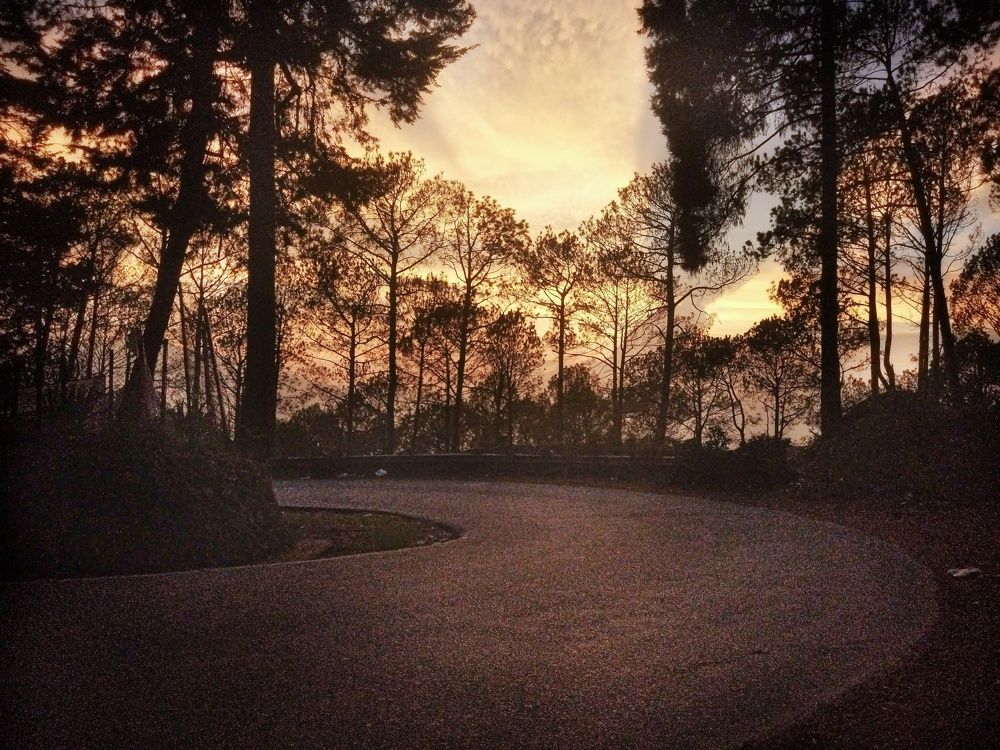 Photo #11022680