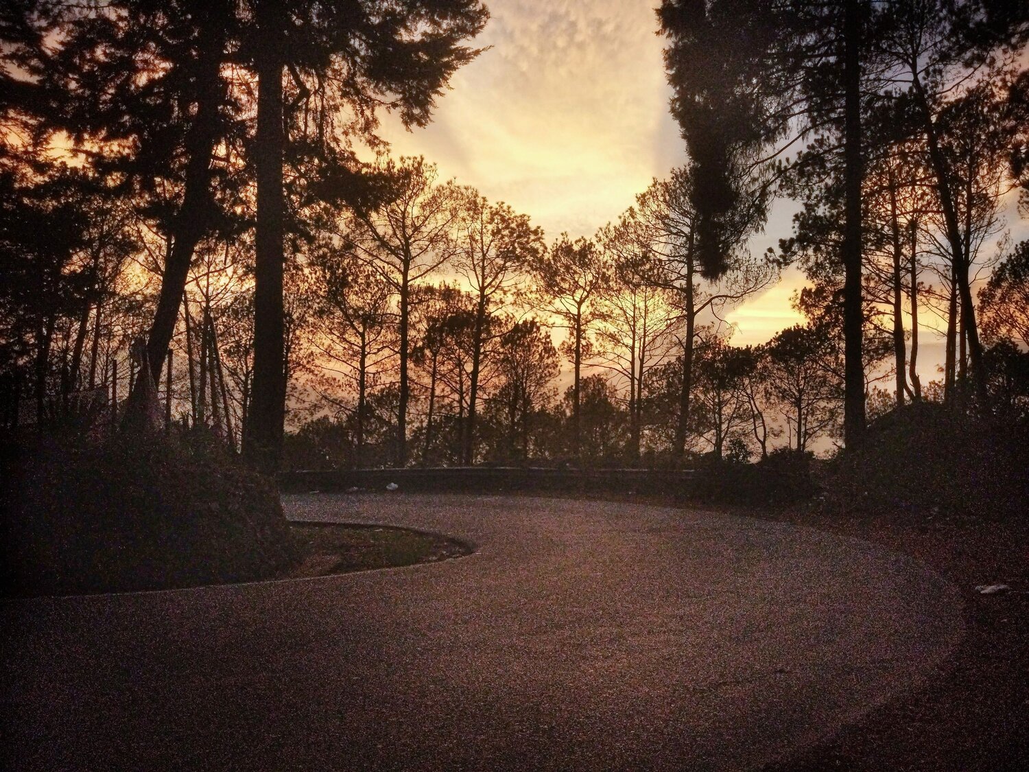 Photo #11022680
