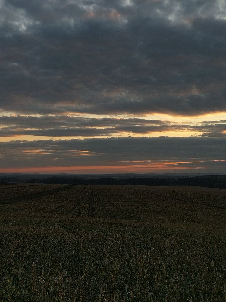 Фотография автора Максим Гафнер