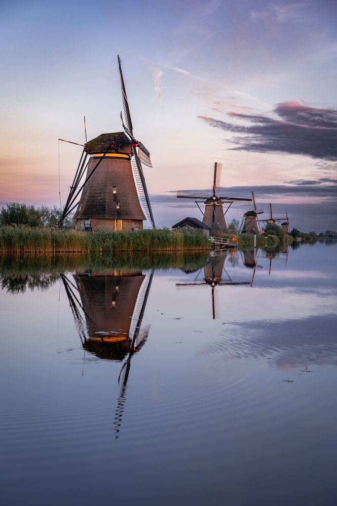 Photograph by Oksana Ermoshenko