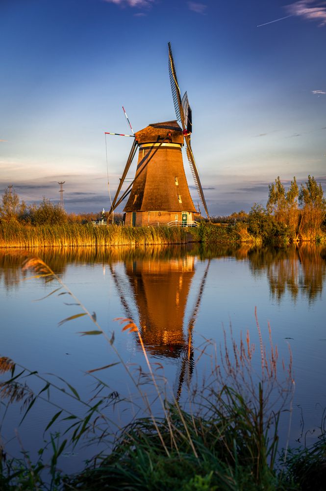 Photograph by Oksana Ermoshenko