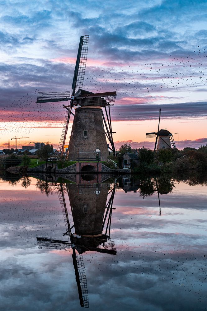 Photograph by Oksana Ermoshenko