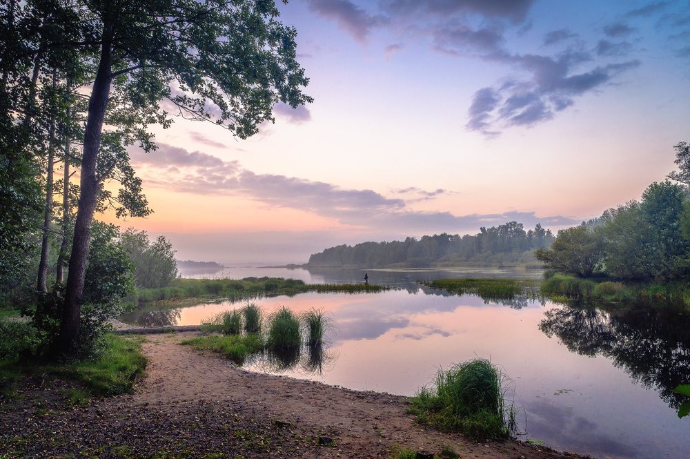 Фотография автора Васильев Андрей