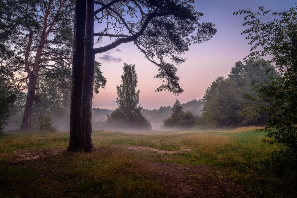 Фотография автора Васильев Андрей