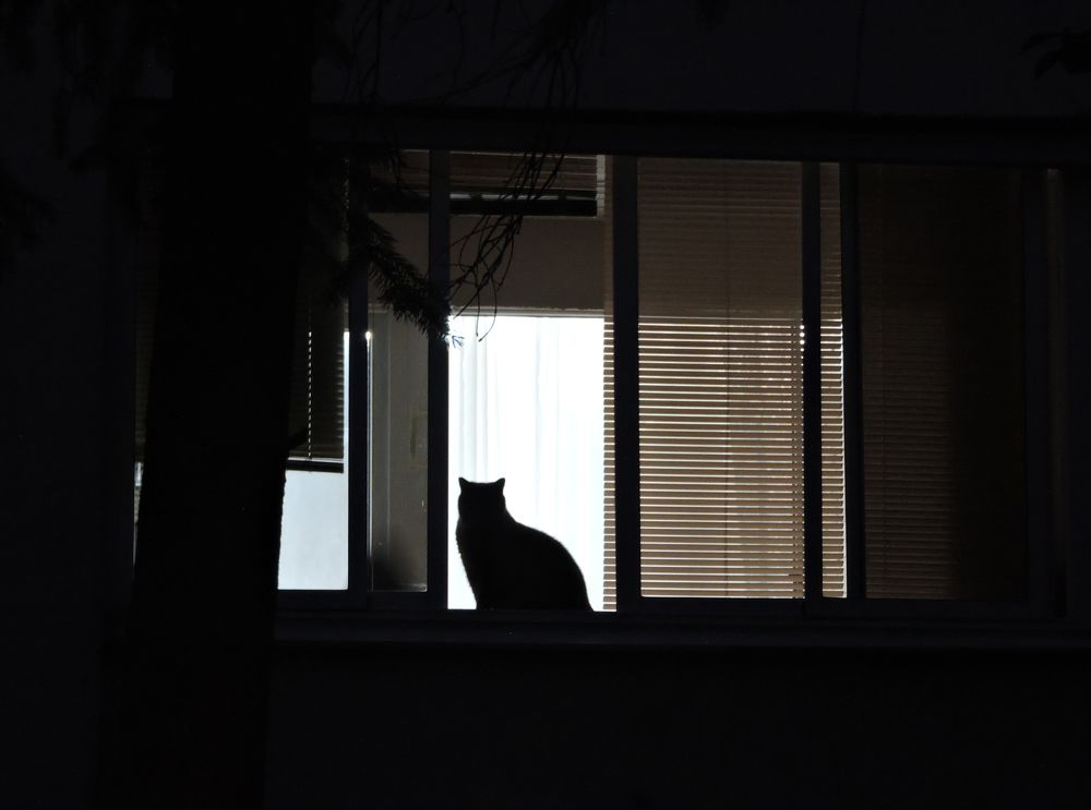 Photograph by Tatiana