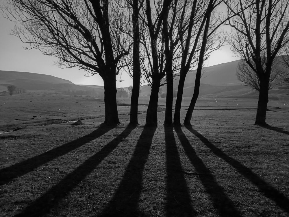 Photograph by Roghayeh Dannandeh