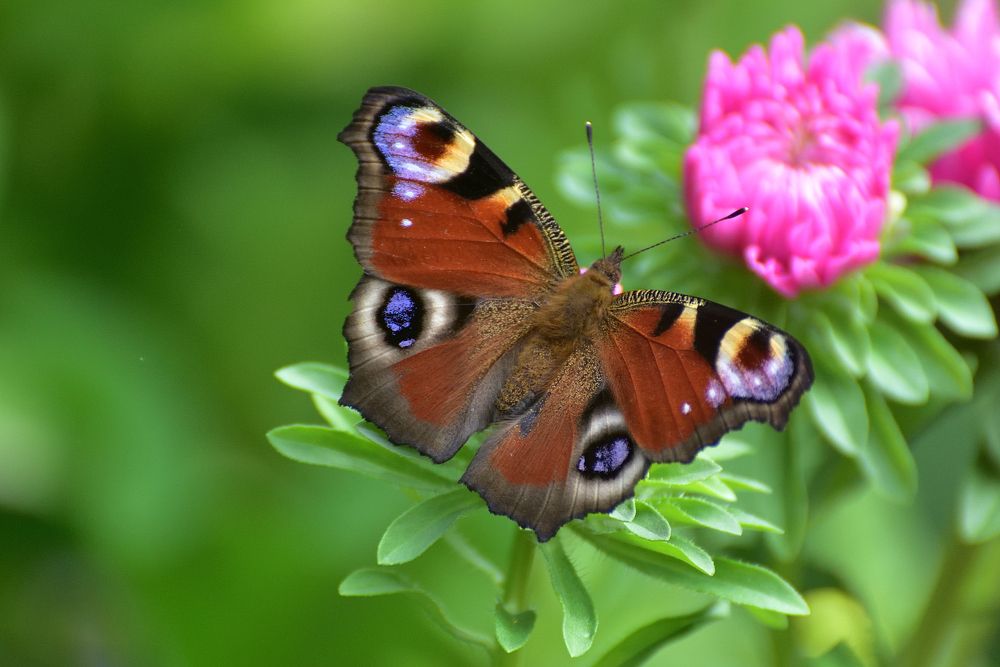 Photograph by Игорь Корнейчук