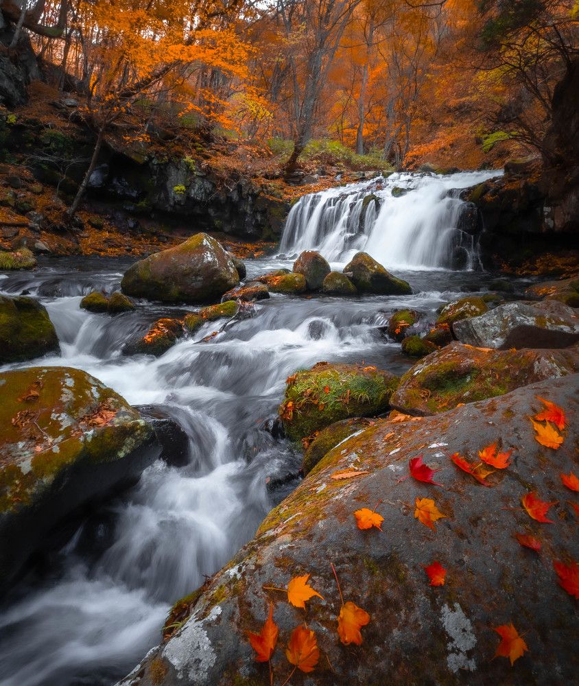 Photograph by 野原　貴子