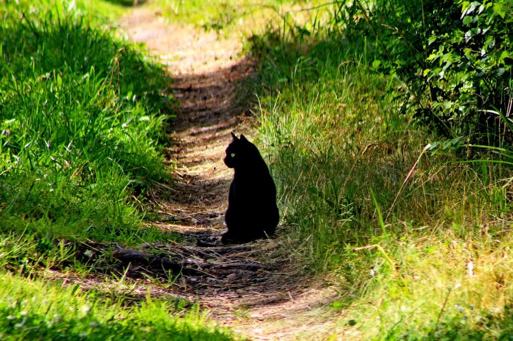 Photograph by Дмитрий Симагин