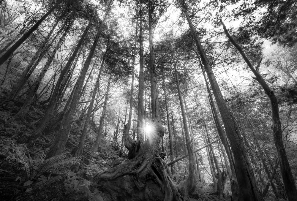 Photograph by 野原　貴子