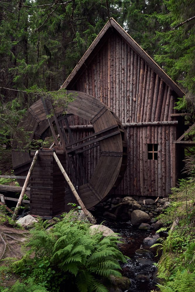 Photograph by Mikhail Kirillov