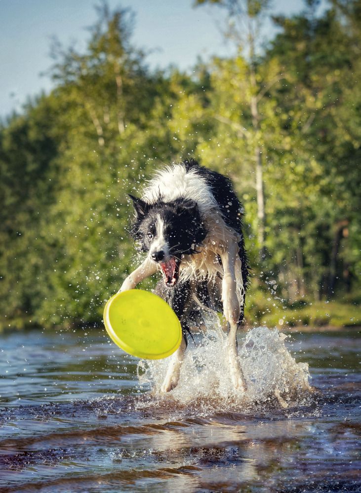 Photograph by Татьяна