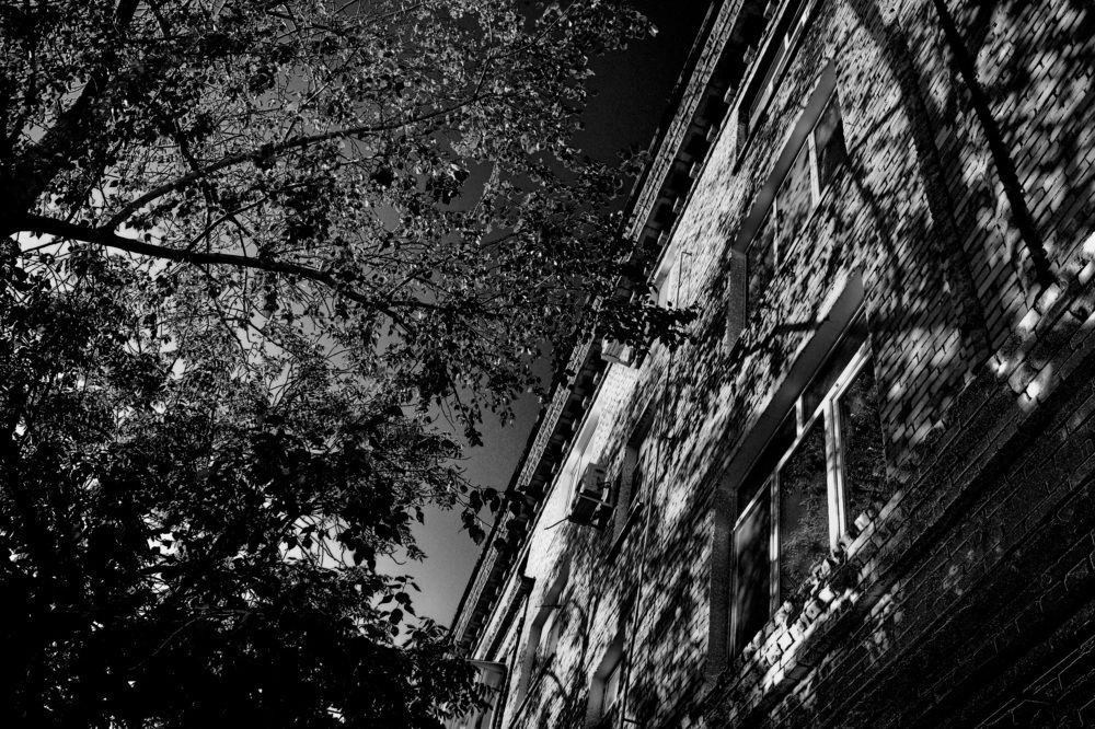 Photograph by Елена Ласун