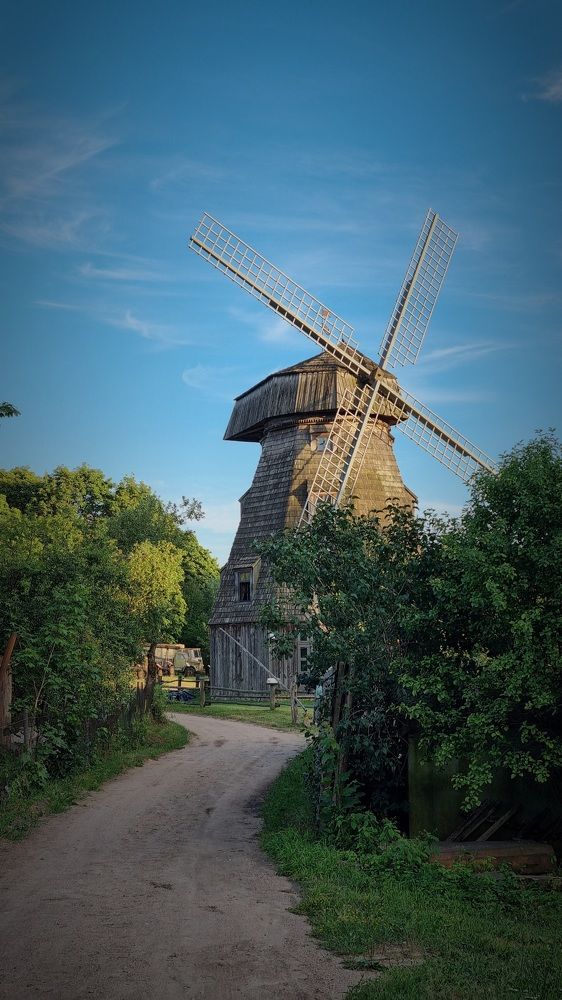 Photograph by Elena Tamošauskaite