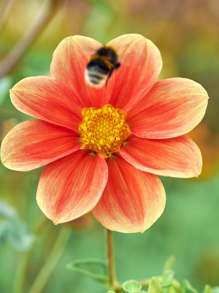 Photograph by Mikhail Kirillov