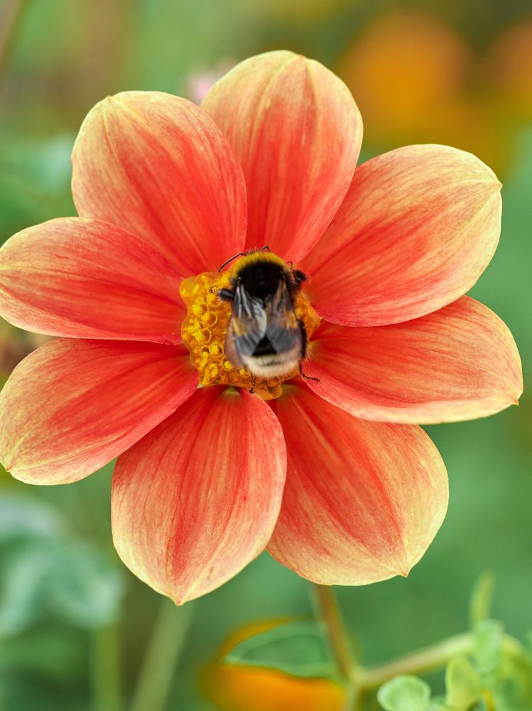 Photograph by Mikhail Kirillov