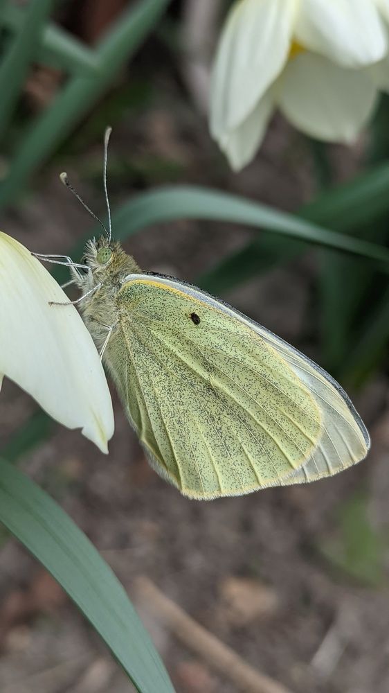 Фотография автора Васильева Ирина