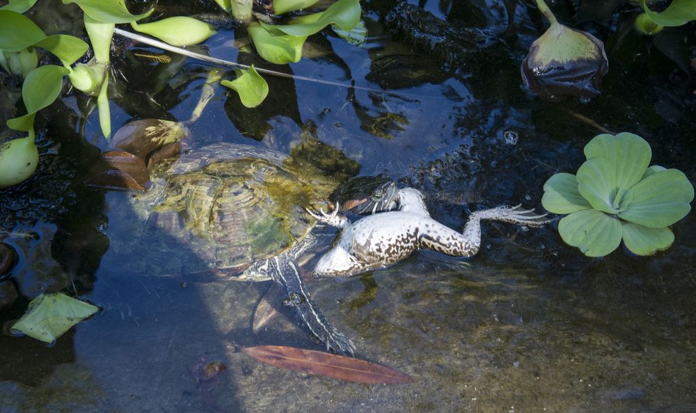 Photograph by Роман Кудрявцев