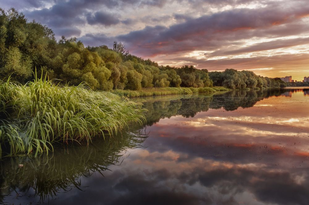 Фотография автора Сережин Сережа