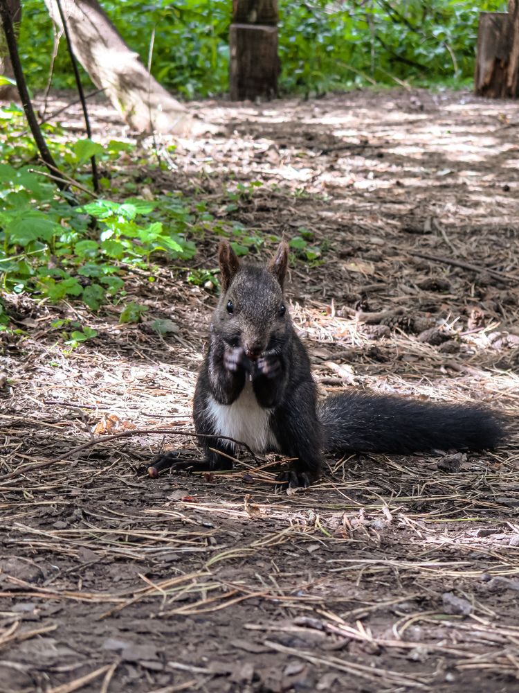 Photograph by Дарья Овсянникова