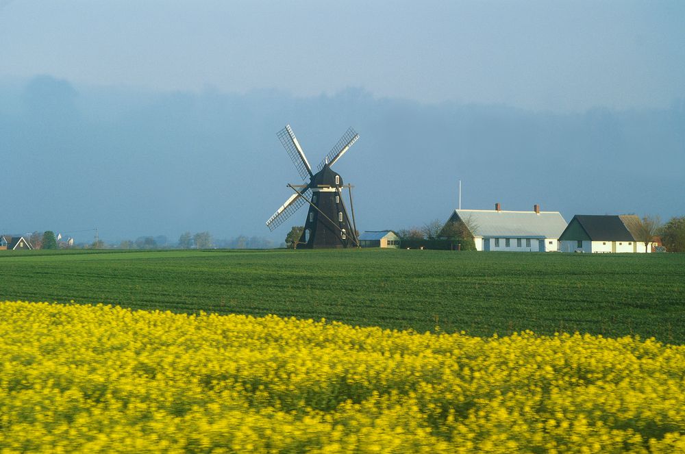 Photograph by Igor Vinogradov