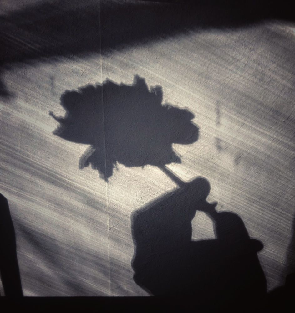 Photograph by Алексей Худяков