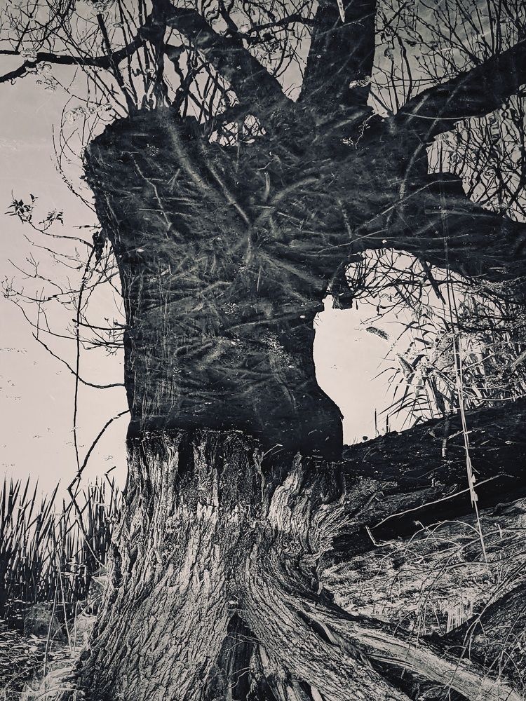 Photograph by Алексей Худяков