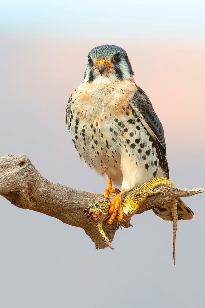 Photograph by Otto Acosta