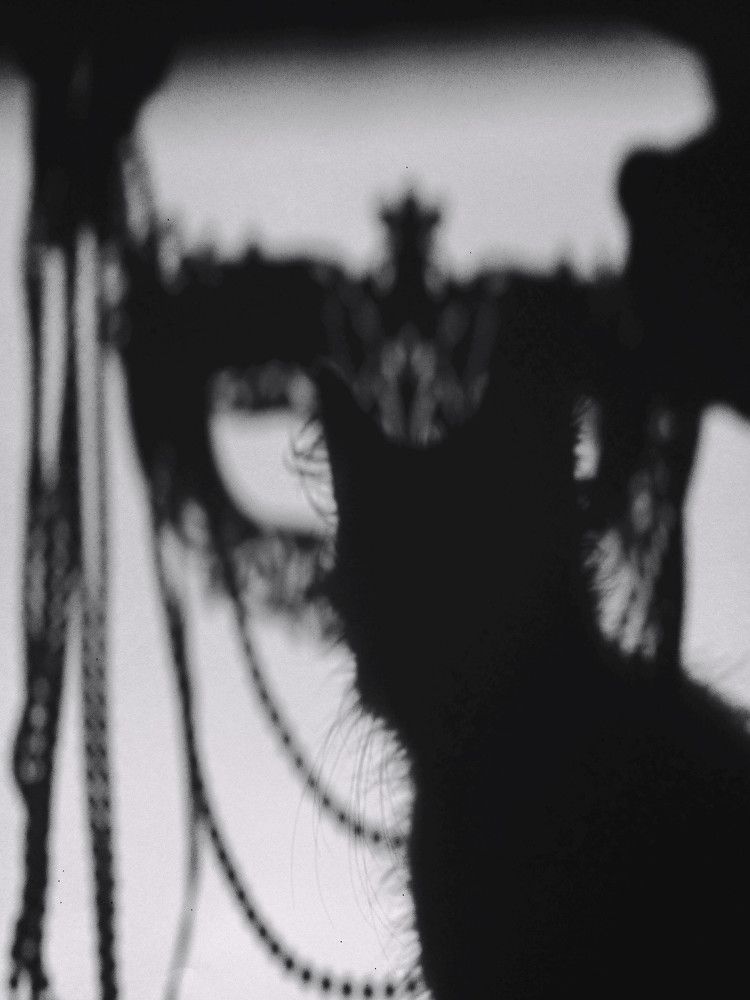 Photograph by Anna Grinkevich