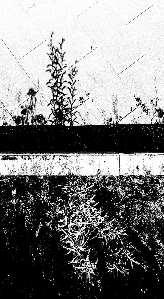 Photograph by Алексей Худяков