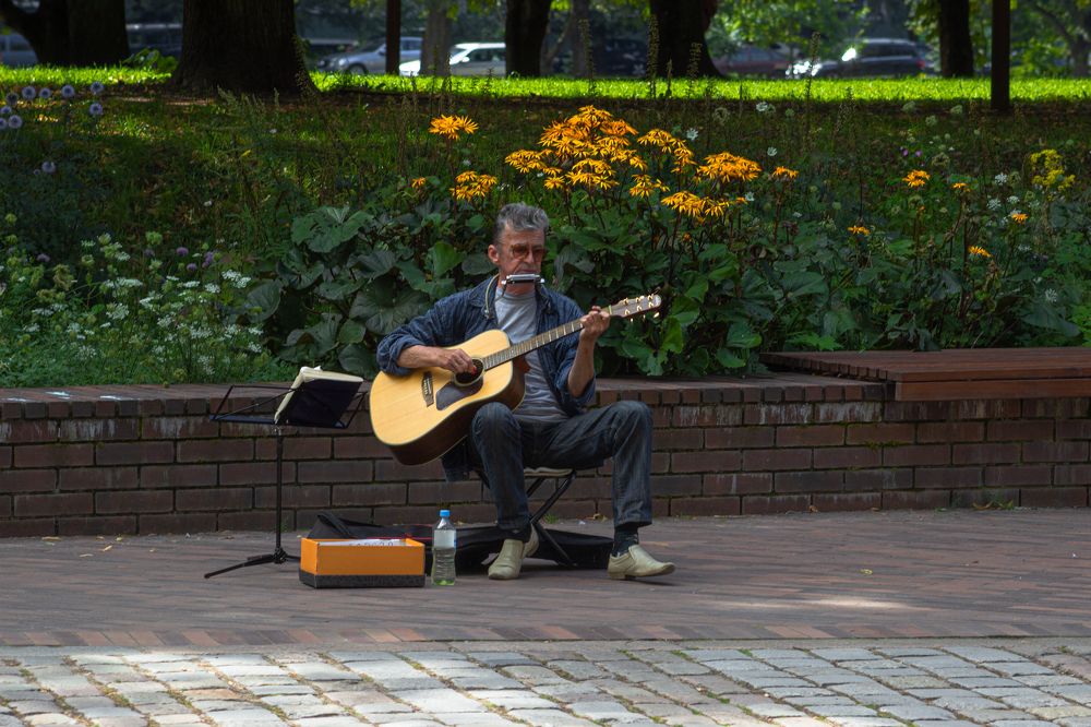 Фотография автора Ирина Гриценко
