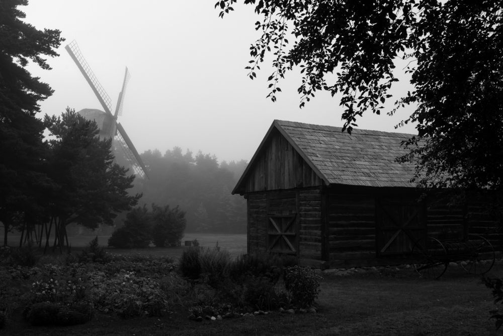 Photograph by Бахтадзе Дмитрий