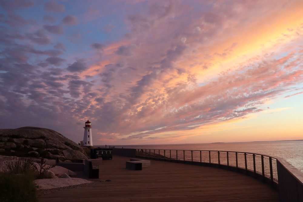Photo #11023440
