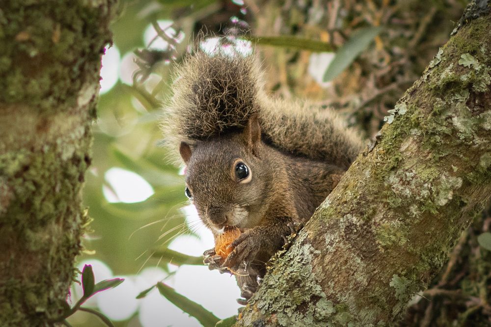 Photograph by Regiane Haverroth