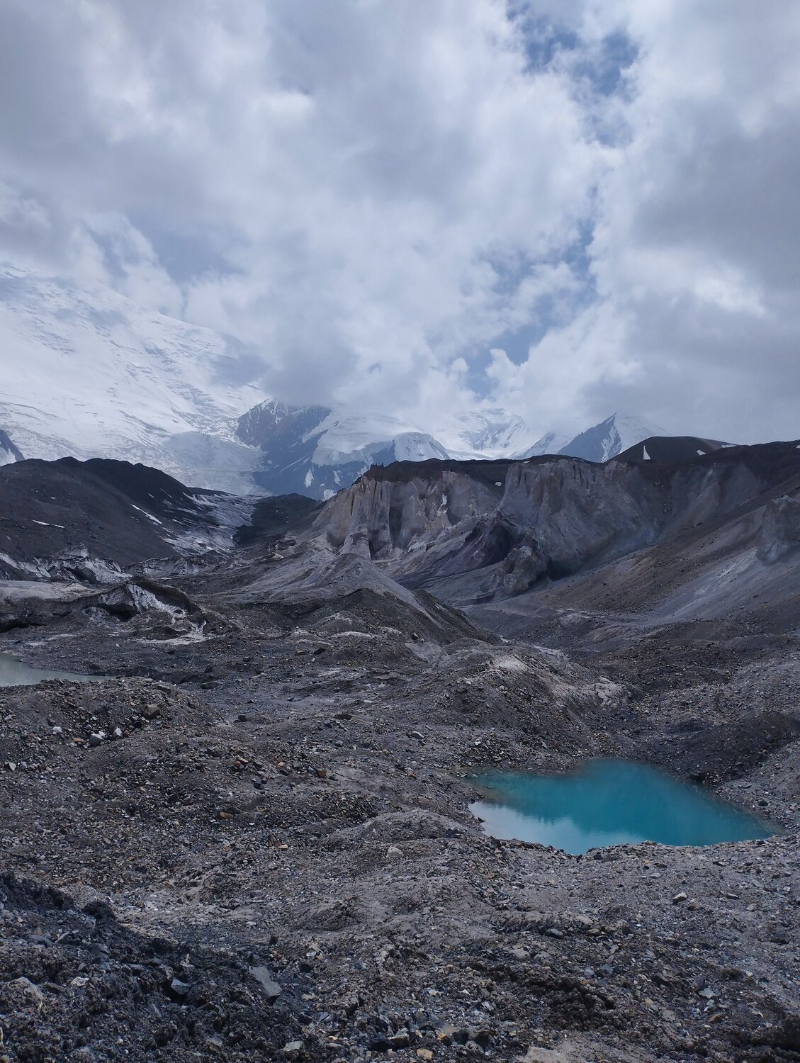 Photo #11023508