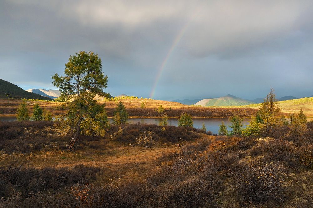 Photograph by Александр Попов